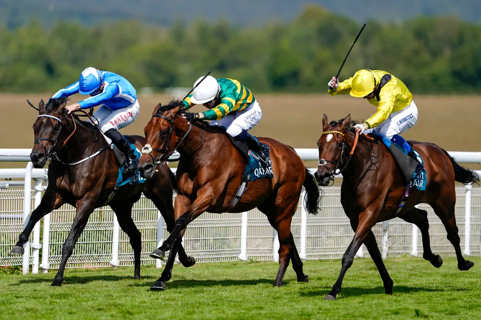 'He is very likeable but I wouldn't cross him' - Sir AP McCoy paints a revealing picture of Dylan Browne McMonagle