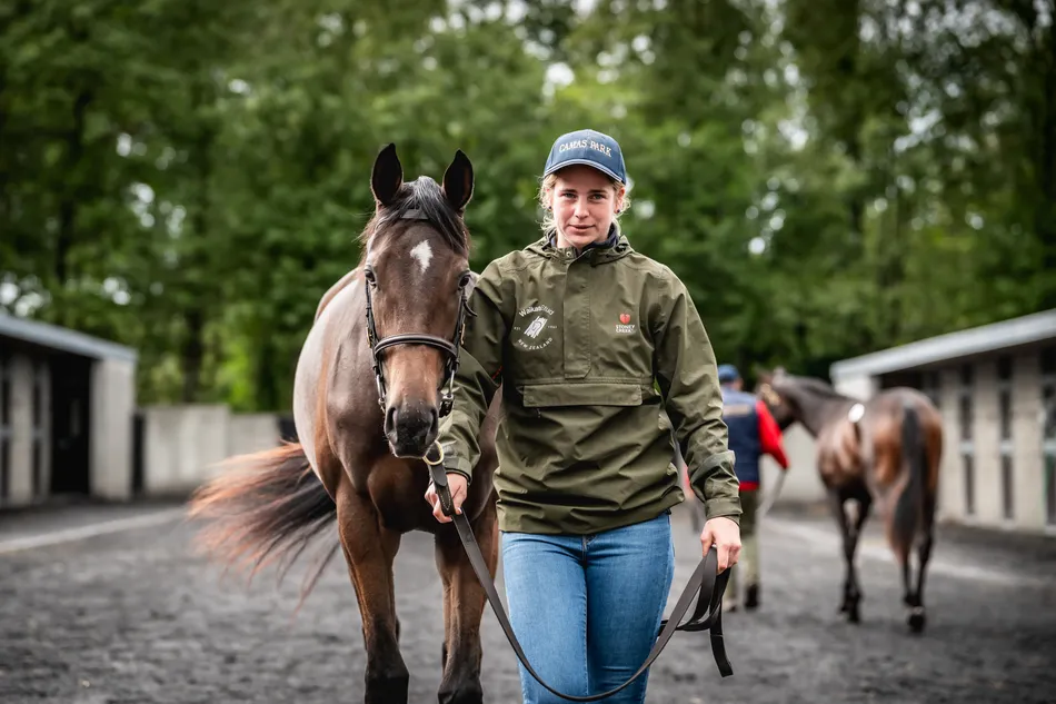 Sale Races Live ‘Irish breeders have really got behind us’ - elite bloodlines up for ...