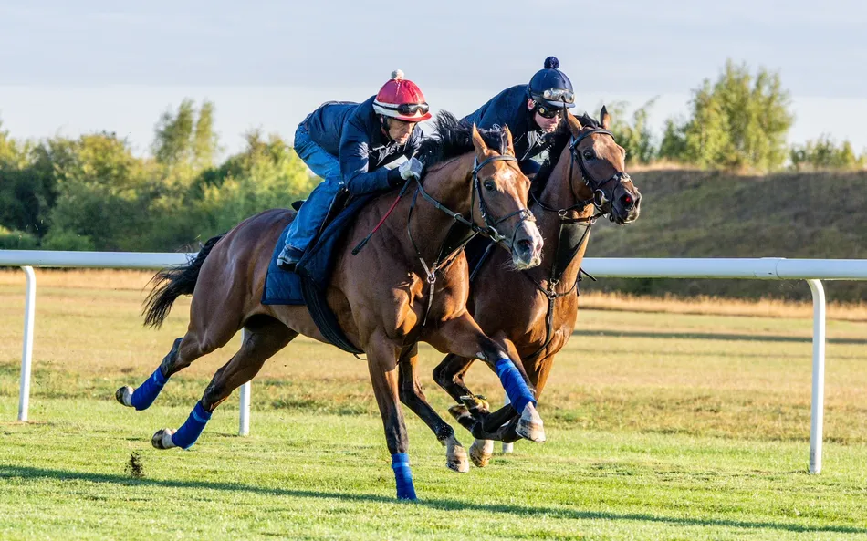 Ombudsman heads to York after 'probably his best performance' - as John Gosden warns Juddmonte is no two-horse race
