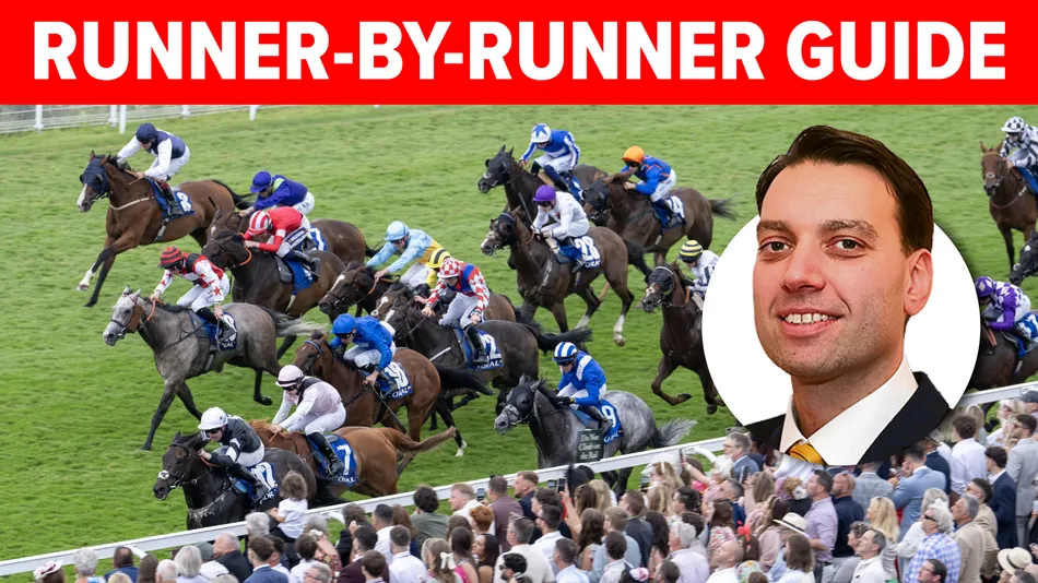 Stewards' Cup runner-by-runner guide: key quotes and Keith Melrose's star ratings for every contender