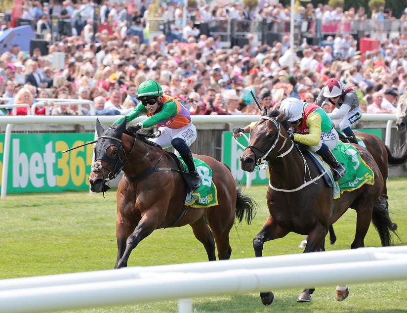 Bet365 pull out of longstanding sponsorships at Newmarket and Haydock ...