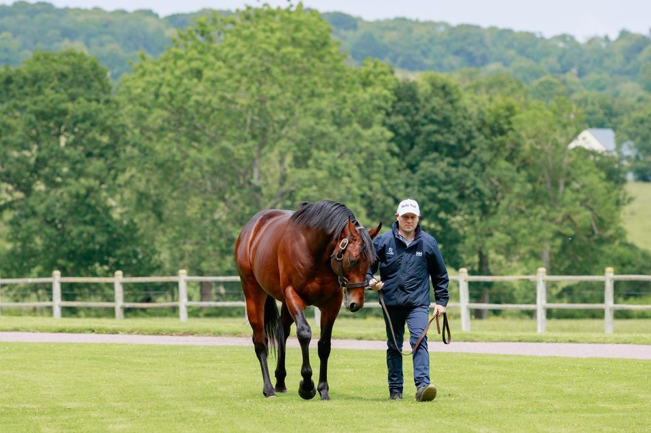 First southern hemisphere winner for Hello Youmzain as Hello Romeo ...