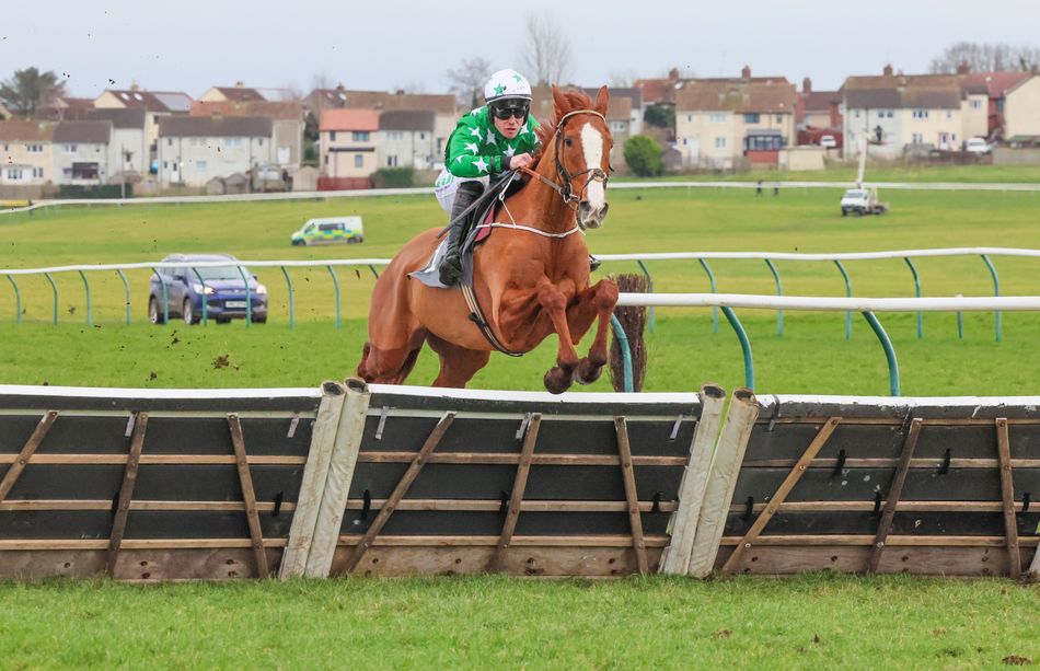 'This is probably the best young horse I've had' - excitement builds at Noel Kelly's yard with well-backed Cheltenham contender