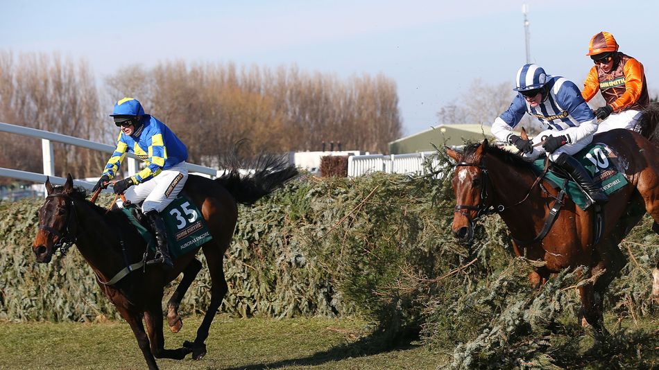 'We had a great time and it stays with you forever' - Grand National winner and 'life-changer' Auroras Encore dies at 24