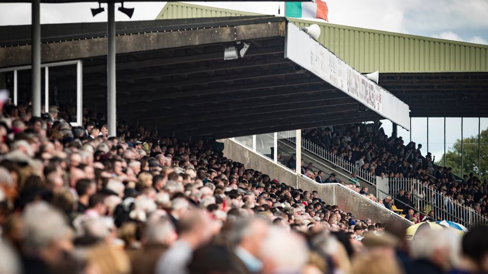 Frre The Rips 'The passion people have for it is incredible' - Pat Healy hails ...