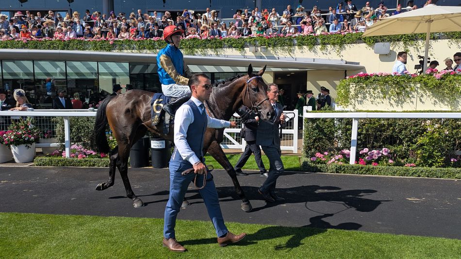 Wathnan Racing Post 'We have one eye on the Arc' - Wathnan break new ground with first ...