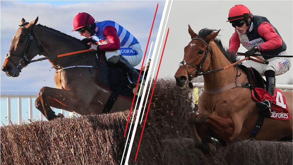 Can Thunder Rock bounce back from 'very uncharacteristic' Cheltenham flop in Scottish Champion