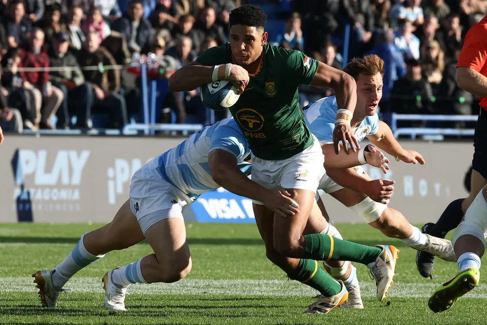 South Africa vs New Zealand international rugby union predictions, betting tips and odds