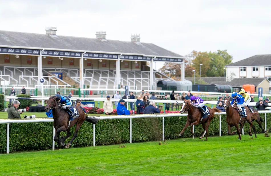 'He's a Guineas, Derby, French Derby horse' – Aidan O'Brien hails Giant ...
