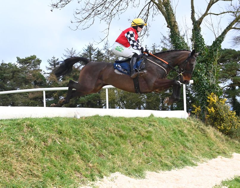 Emerging American market starting to prove a real boost for Irish point ...