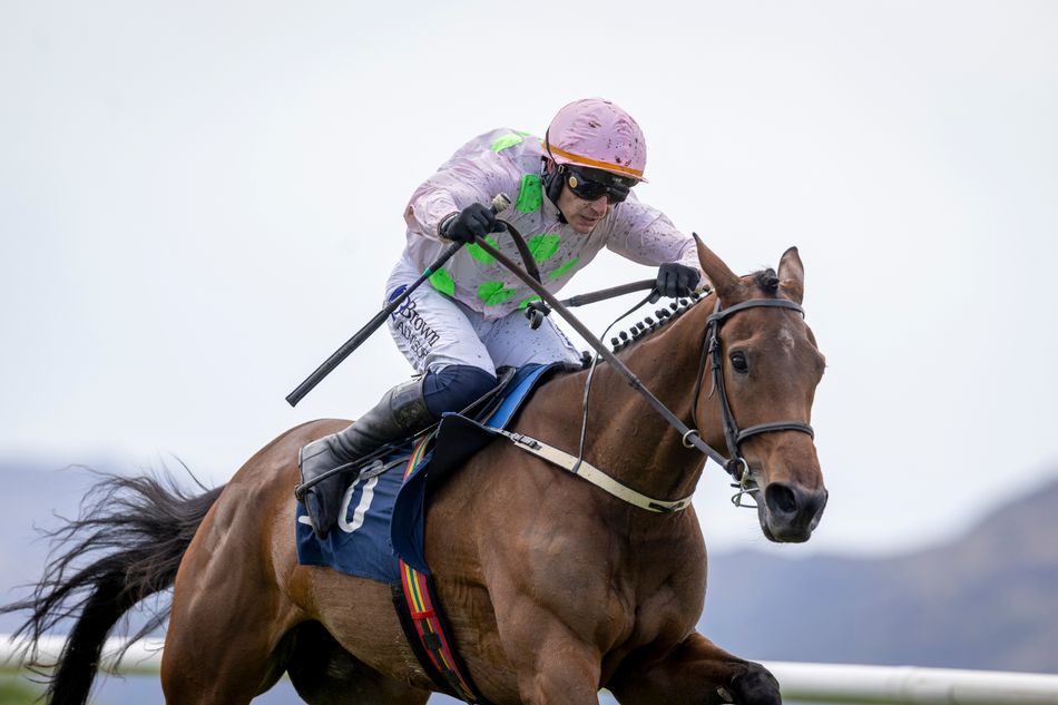 Sainte Lucie stars for Mullins and Townend while Enda Bolger wins his fourth Killarney National in a decade
