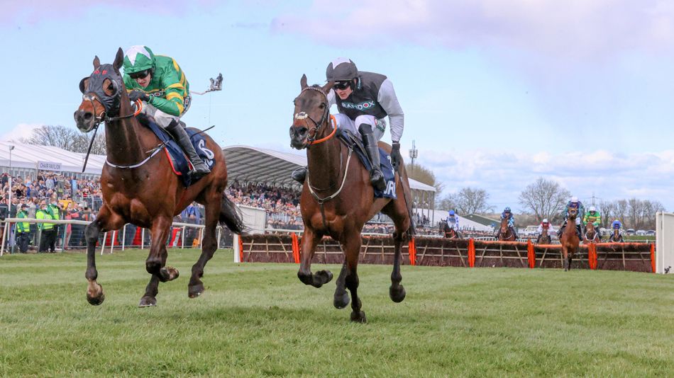 Stayers' hero Sire Du Berlais to face nine rivals in Saturday's Liverpool Hurdle at Aintree