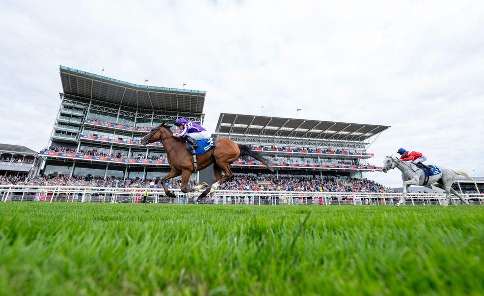 Tick Racing 'She has to be top of the pecking order' - big-race options galore for ...
