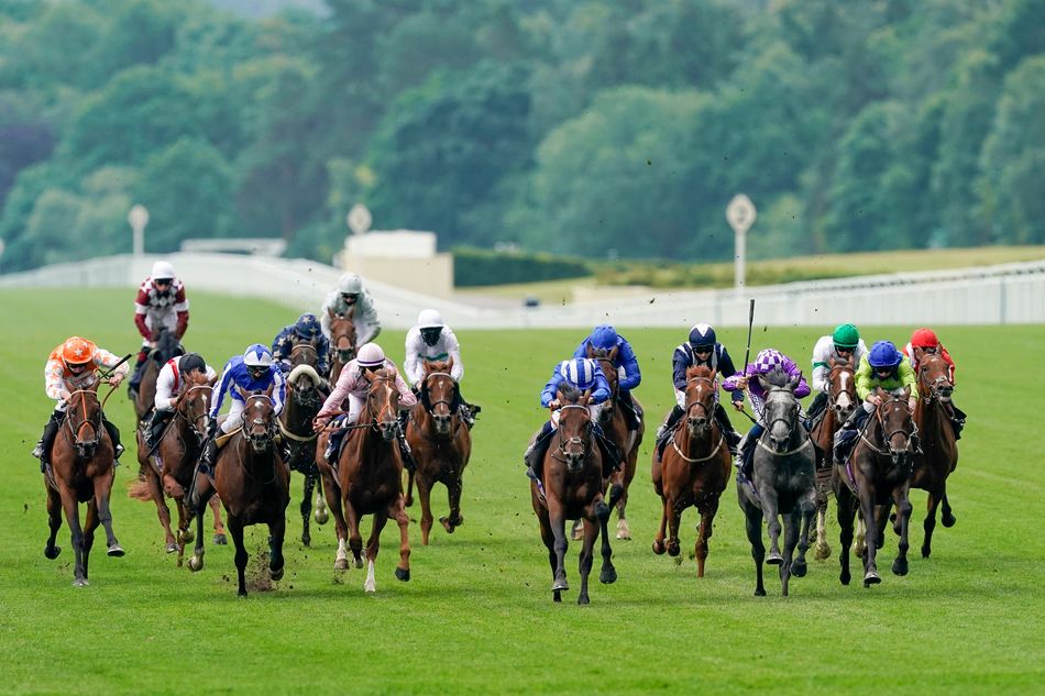 'She's our best chance of a winner this week' - who fancies their chances in a wide-open King George V Stakes?