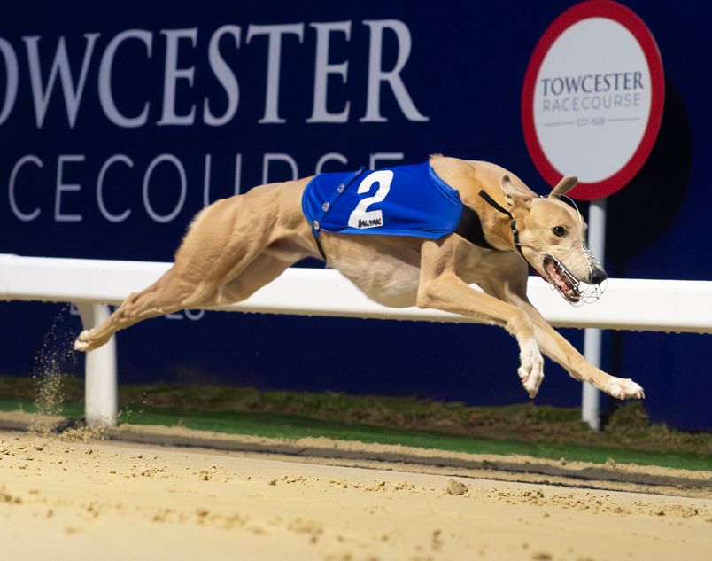 Strong Irish team odds-on for Classic | Racing Post