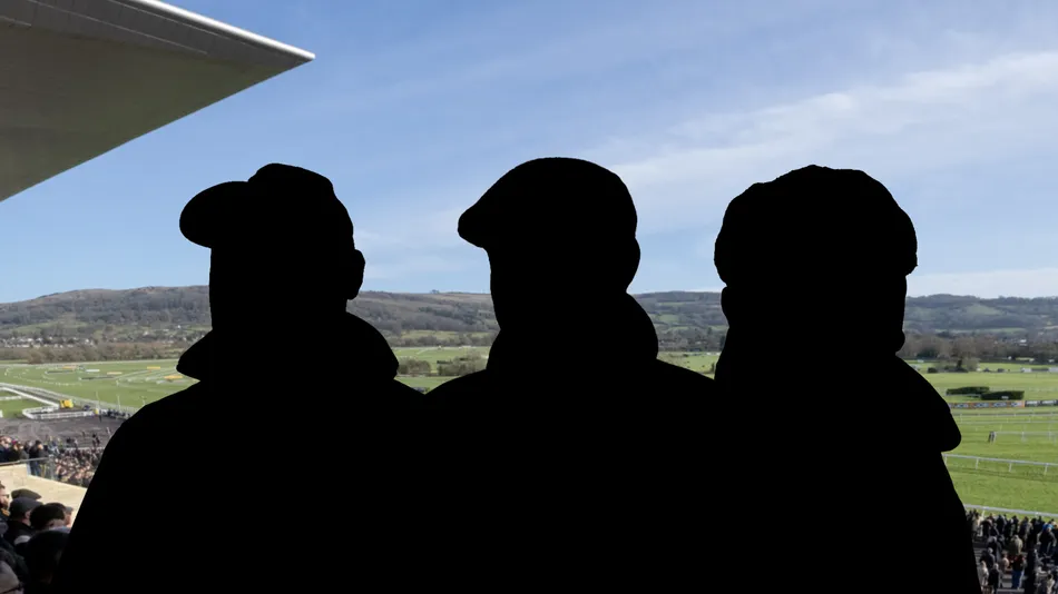 The three most profitable trainers to follow at Cheltenham's Showcase meeting - including a local yard with a £54.50 level-stake profit