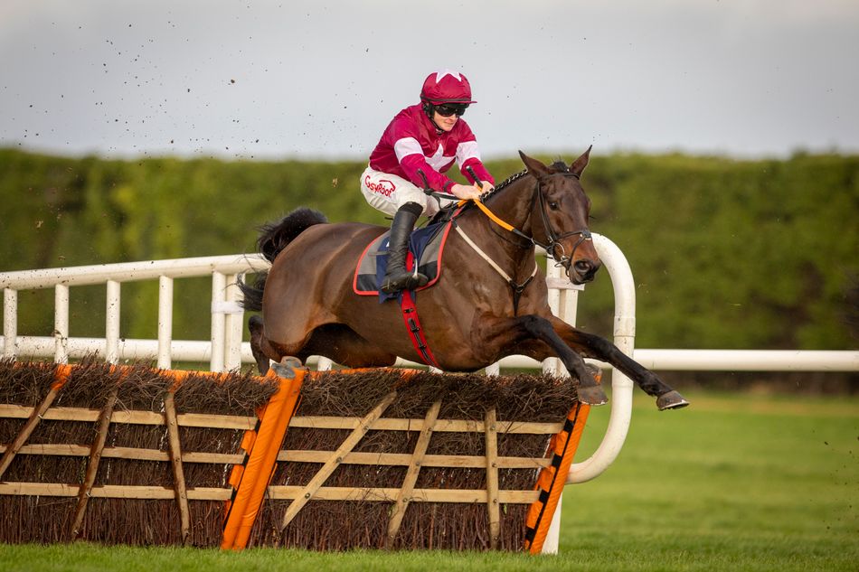 How Racing Post Ratings May Have Swayed Brighterdaysahead Team To Take how-racing-post-ratings-may-have-swayed-brighterdaysahead-team-to-take