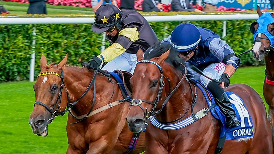 'I wouldn't like to split them' - trainers on their Portland Handicap ...