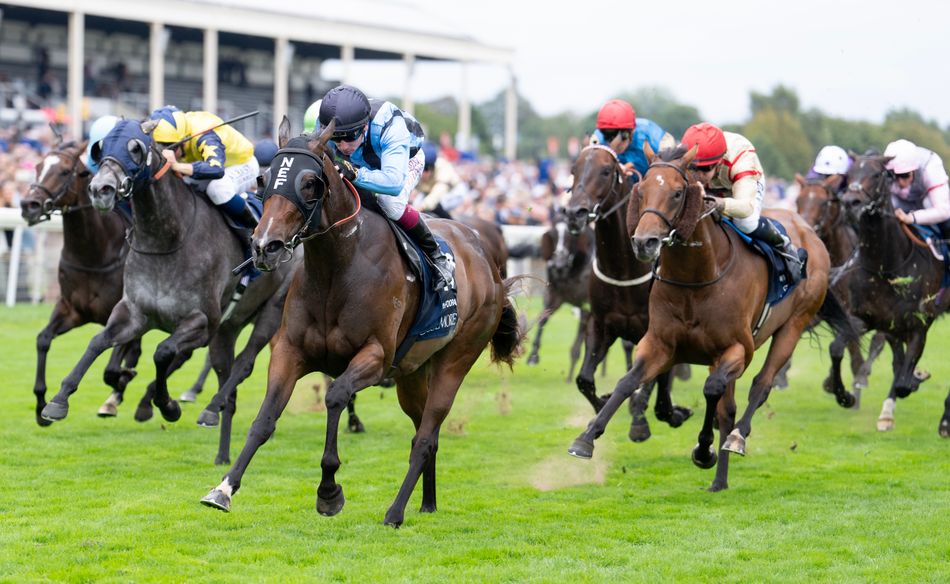 'The show rolls on' - promising Goodwood run persuades Henry Dwyer to make u-turn on retirement plans for Asfoora