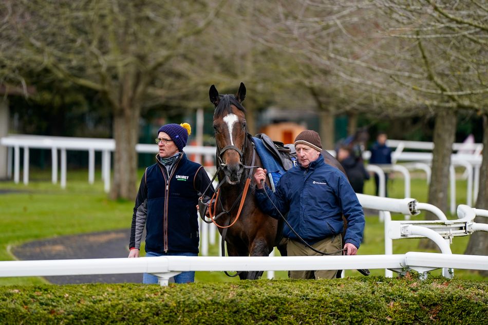 Cheltenham's most expensive contenders examined Racing Post