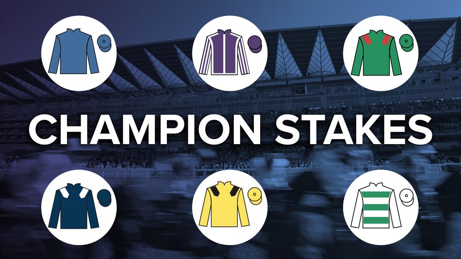 Champion Stakes at Ascot: the runners, the odds, the verdict for the ...