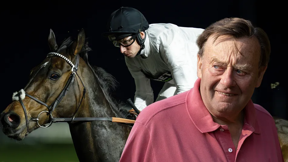 'It would be astonishing, but if anyone can do it, he can' - Tom Segal and Nicky Henderson's verdicts on Constitution Hill's judgement day