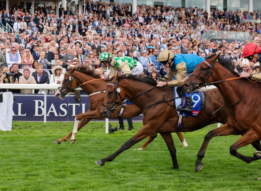 Wathnan Racing to break new ground as plans put in place for first runner in Australia
