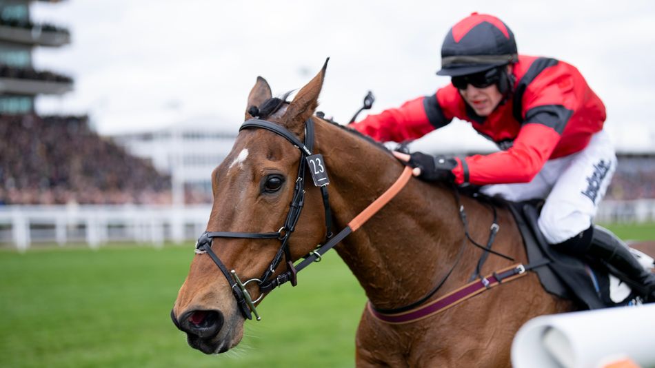 'This could be his year' - Myretown survives mistake to record first win since runaway Cheltenham Festival success