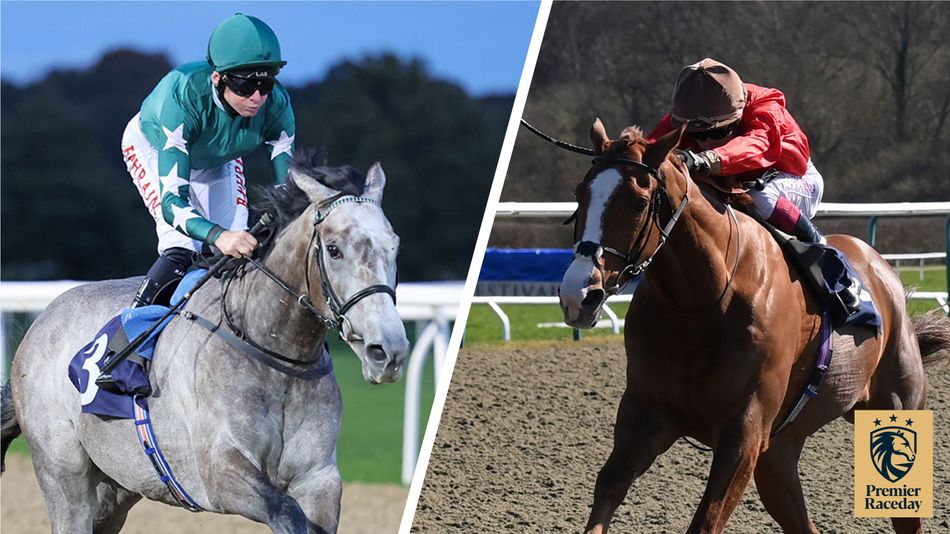 'This has been the plan' - quotes and analysis for a competitive ...