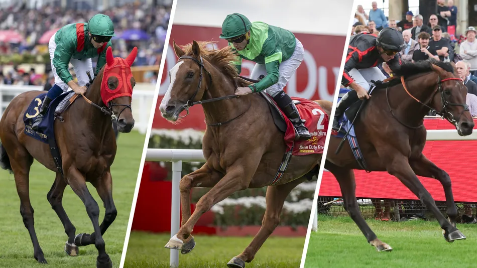 An awesome Arc and wide-open Champion Stakes: how the ante-post markets shaping up for the middle-distance blockbusters to come