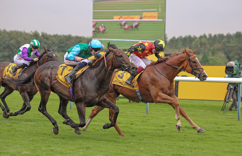 'He's an impressive horse with a big future' - Wathnan snap up ...