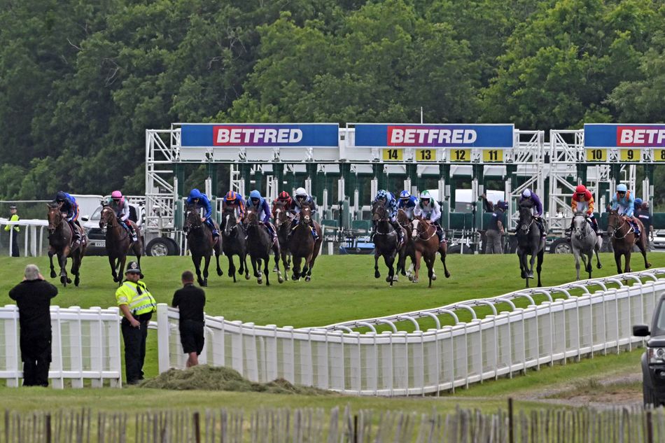 'All races need to be treated the same - that doesn't feel like it's the case' - punters' body urges BHA to review non-runner rule