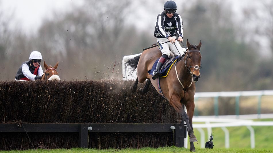 Tim Forster Racing Going remains good to soft at Aintree after watering for day two of ...