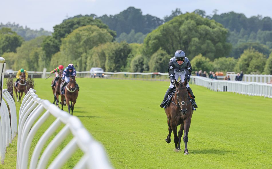 Bangor: 'Drop his head on the line and I'll buy you a pint' - Planned Paradise gives owner perfect birthday present