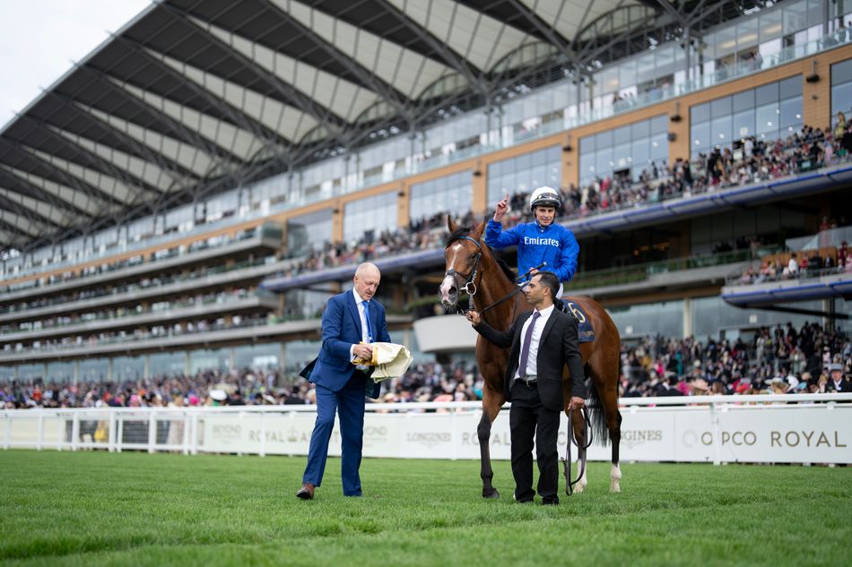 'He's unbelievable and I feel so privileged to ride him. He can do things that very few horses can'
