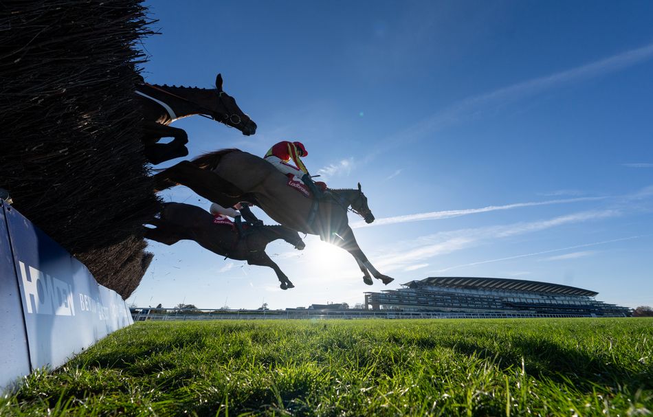 What's the ground like at Ascot after 24mm of rain on Thursday?