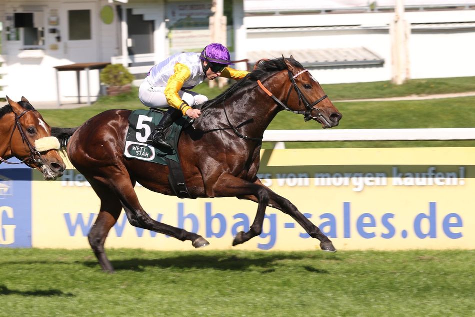 German Derby contender Path Of Soldier added to Goffs London Sale
