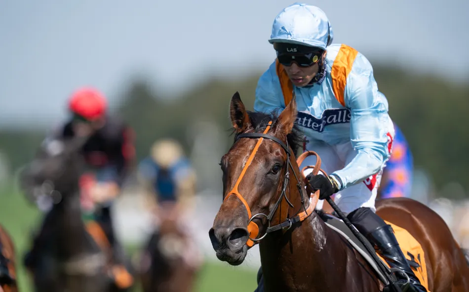 Middleham Park Racing juvenile set $1 million aim at Breeders' Cup despite finishing down the field in Nunthorpe