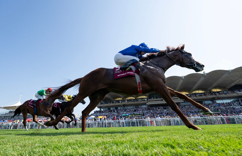 Confirmed runners and riders for Sunday's Prix du Moulin at Longchamp ...