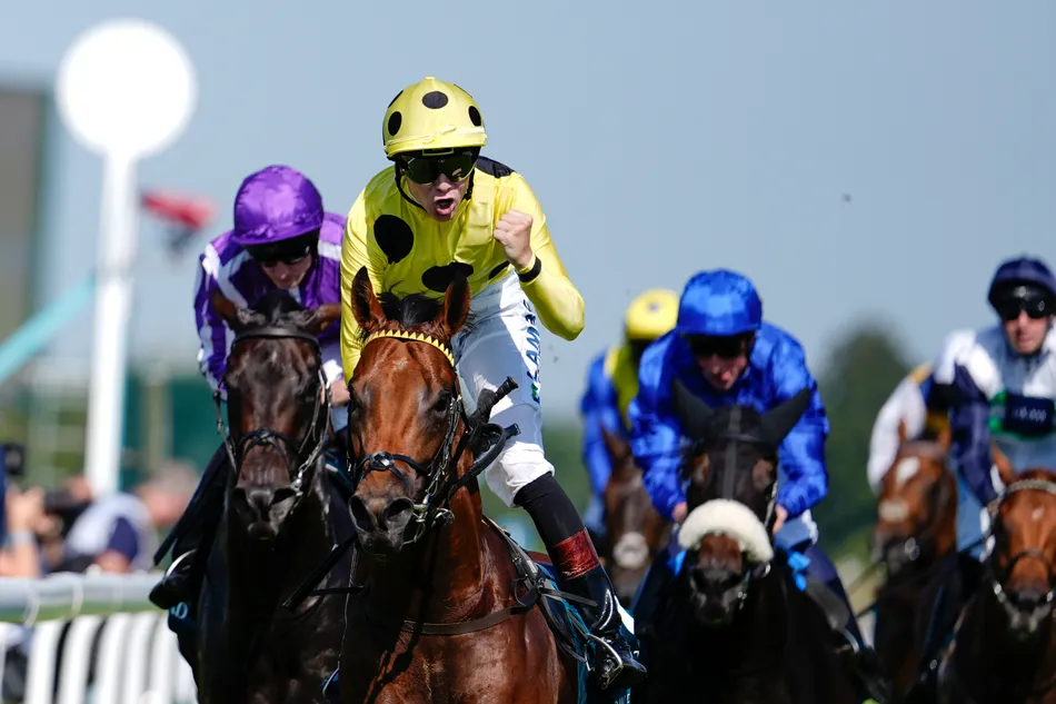 Why a French campaign could seal Bow Echo's place in the hall of fame