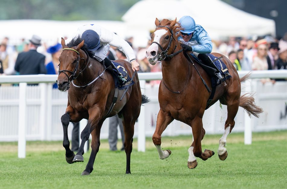 Seamie Heffernan slapped with 24-day whip ban for winning Royal Ascot ride