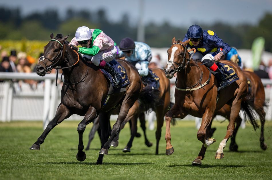 'He's a horse of a lifetime for us' - Charlie Hills pays tribute as dual Group 1 winner Khaadem is retired