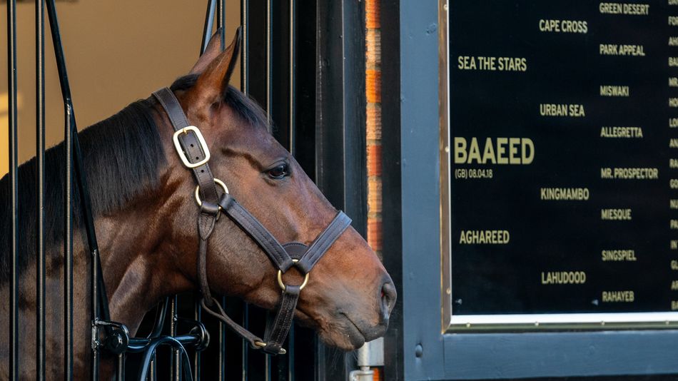 'He's so laid-back, you go in there and give him a little hug' - behind ...
