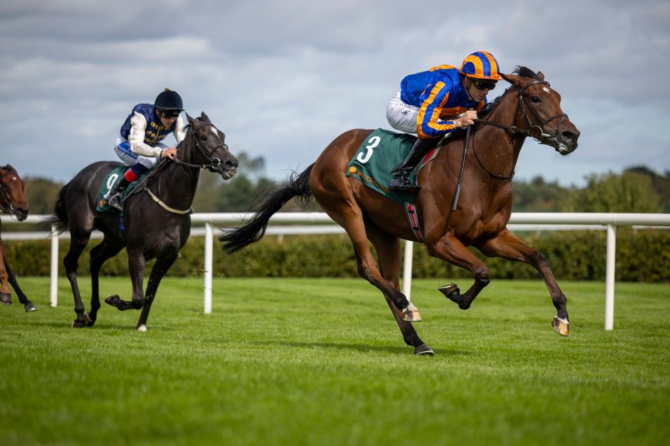 Aidan O'Brien takes two out of Prix de Diane but his unbeaten favourite remains as likely field revealed