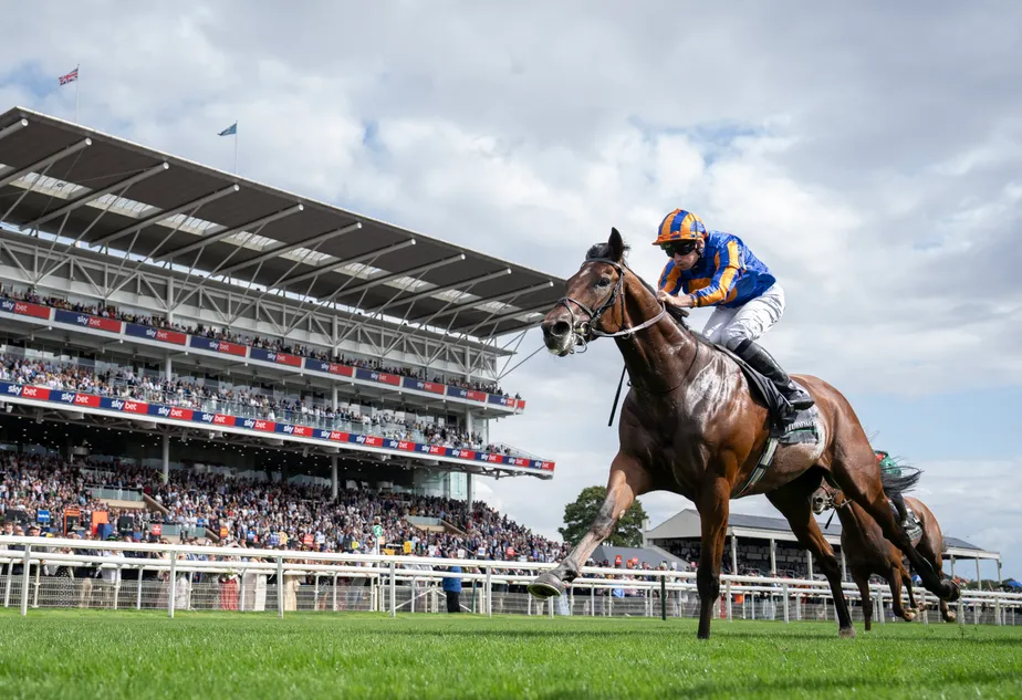 Aidan O'Brien rues impact of pacemakers at York as Constitution River aims for Irish Champion redemption
