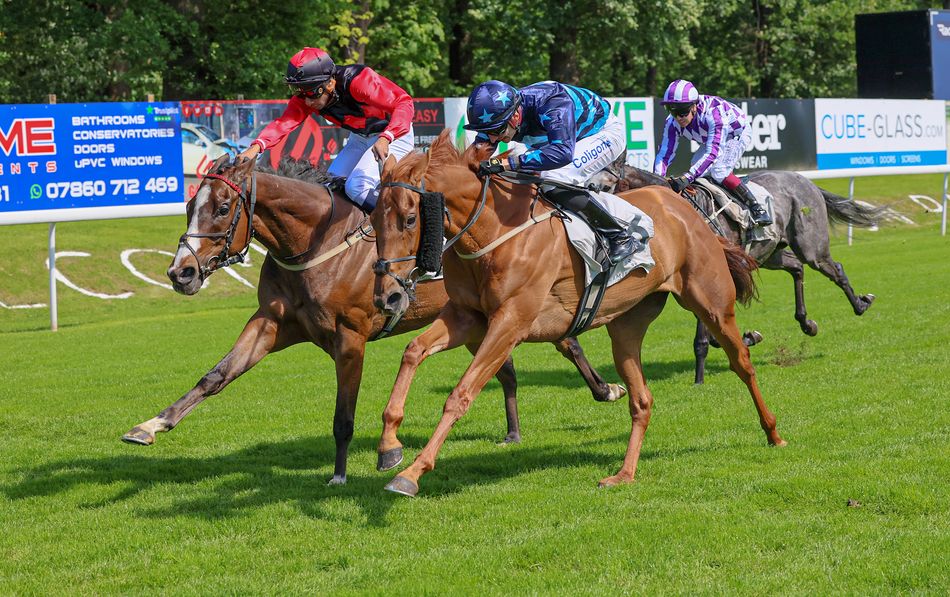 'You get plenty of testing times' - Purple Gown ends Adam Nicol's 438 ...