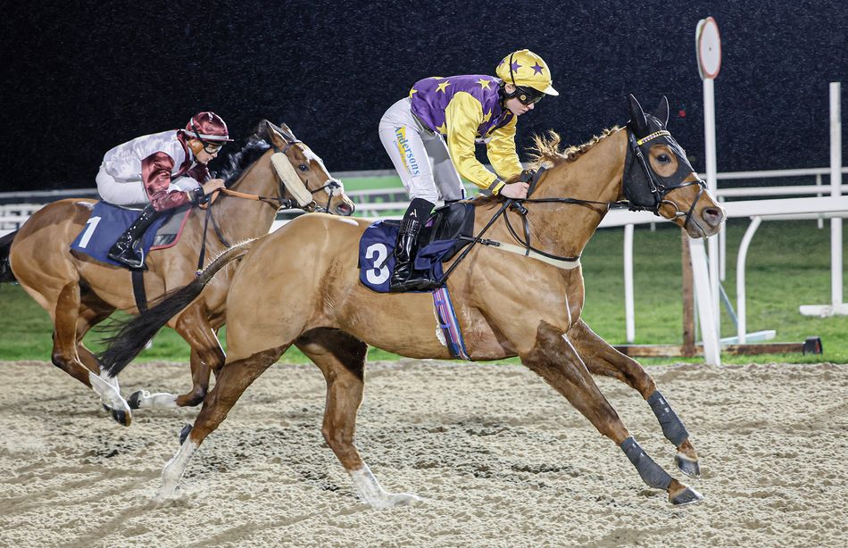 Bob Jolly Racing Jolly Roger heads north in bid for first handicap success - analysis ...
