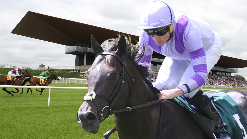 Can July Cup hero Comanche Brave join Almeraq as a leader of the sprinting pack?