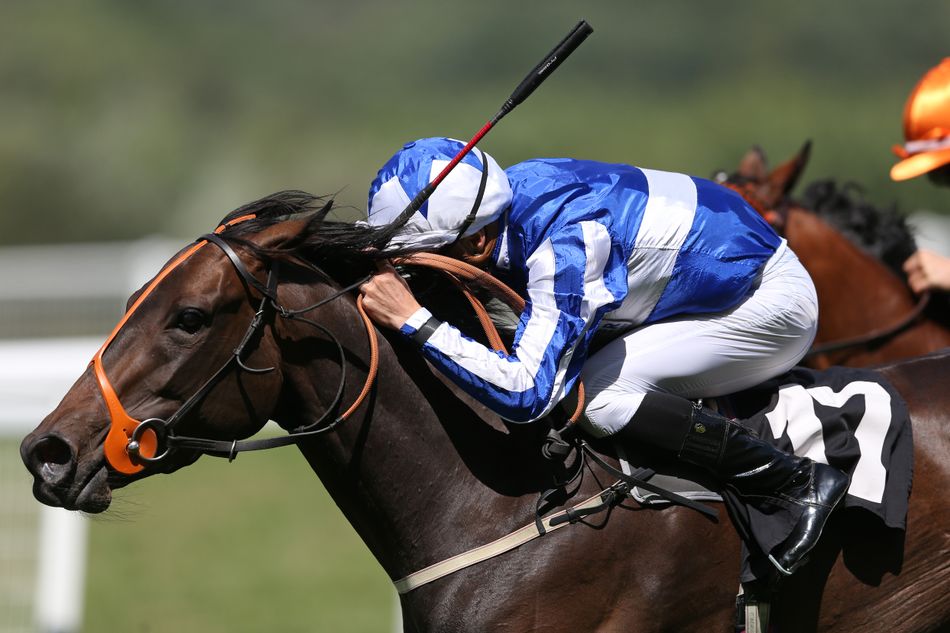 Pool Hand Racing Post 'I expect her to go well' - key quotes and analysis for Newbury's ...