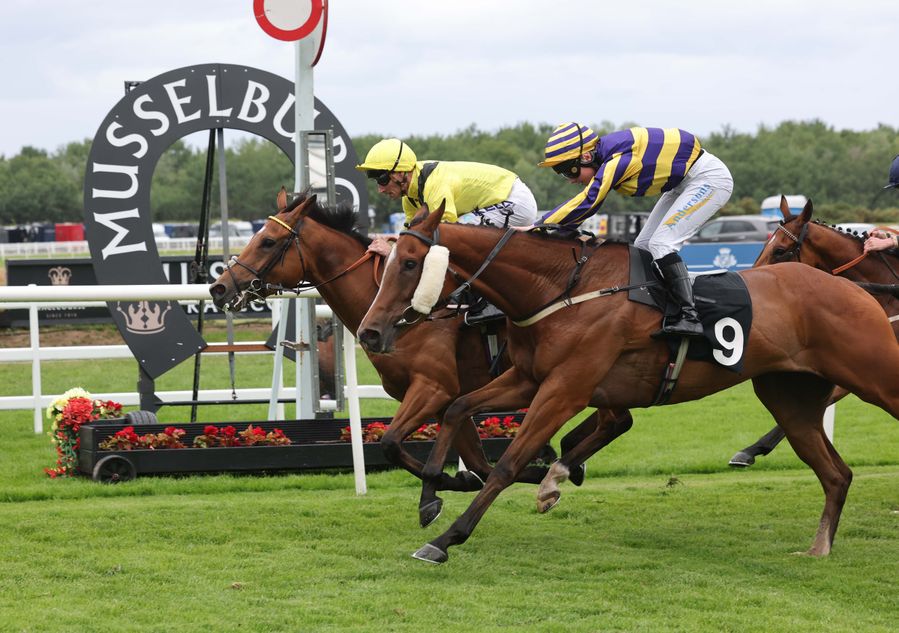 'He's been very progressive this year' - Haayimm set for bigger prizes ...